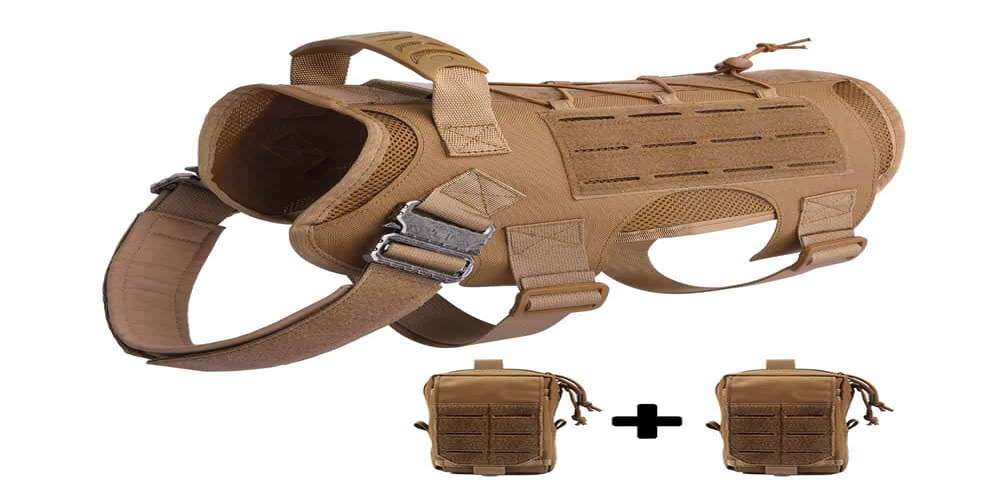 Navigating the World of Pitbull Tactical Harnesses: A Comprehensive Guide
