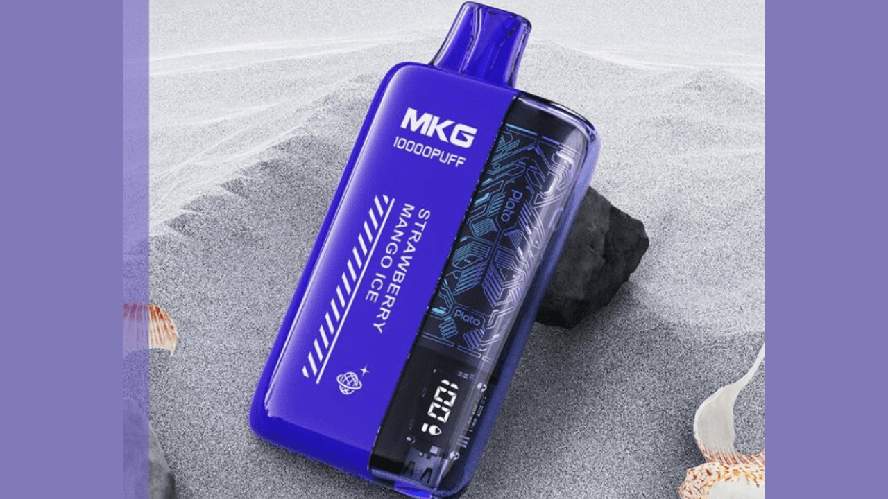 Compact and Powerful: The MG009 Smart Vape with Type-C Charging