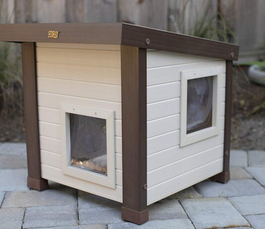 Important Considerations When Choosing a House for Feral Cats